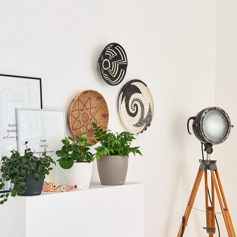 le_classico-color28_product_addi_04